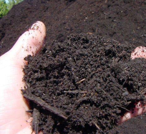 soil temperature and