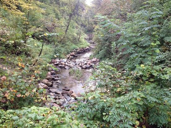 Twenty-one private landowner properties abut this section of the ravine and after decades of unabated erosion, the eroded, soil-exposed streambanks topped 40-feet in height.