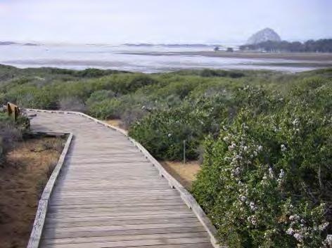 Resources (Dunes) Boardwalk