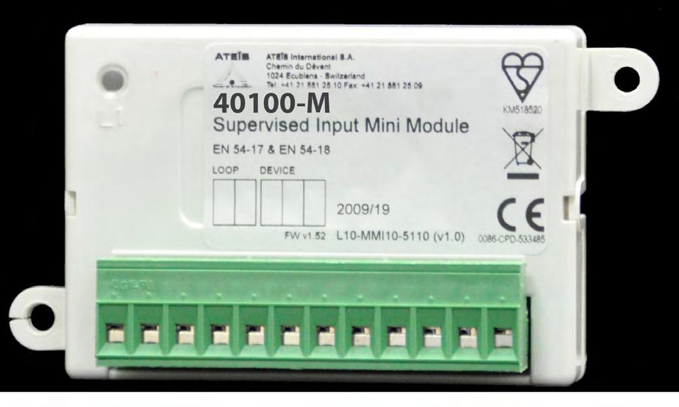 GENERAL OVERVIEW - 4000-M INPUT MINI-MODULE 5 6 2 Rw Loop line IN (+) Loop positive input 5 Input (+) Supervised input (+) 6 Input (-) Supervised input (-) 7 Not used 8 Not used 9 Not used 0 Not used