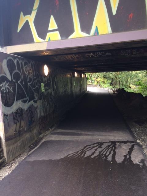 Artwork located at a nearby residential complex (Reflections: i.e. Creative & Honouring Our Cedar: John Marston) This public art call for expressions of interest focuses on a 65ft x 8ft cement wall located under the 2 nd Street Bridge.