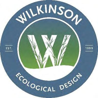 Wilkinson, Restoration
