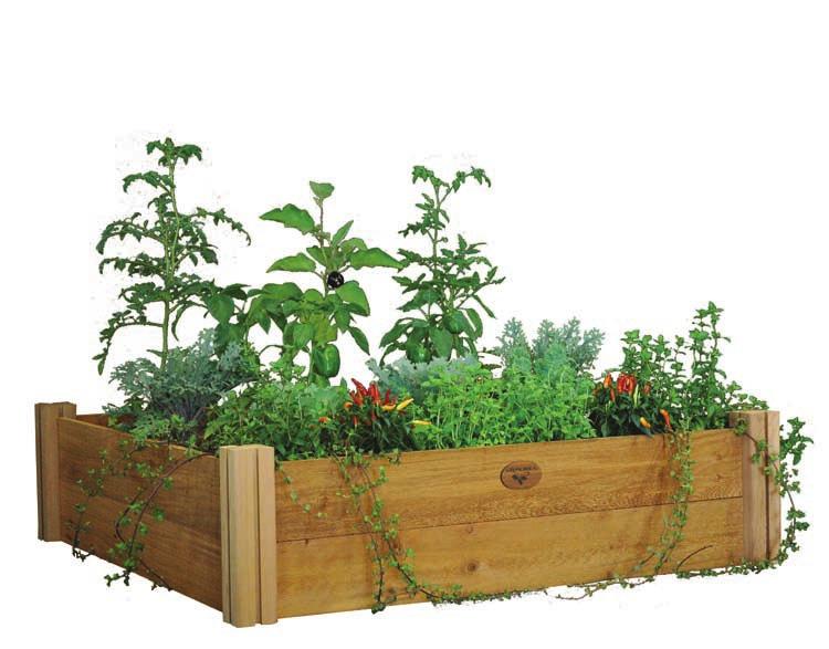 The Elevated Garden Bed eliminates bending over while gardening and is perfect for gardeners with mobility and back strain issues.