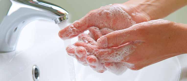 Hand & Body Care Foaming Antibacterial Hand Soap Effectively kills germs while remaining gentle and non drying to the hands.
