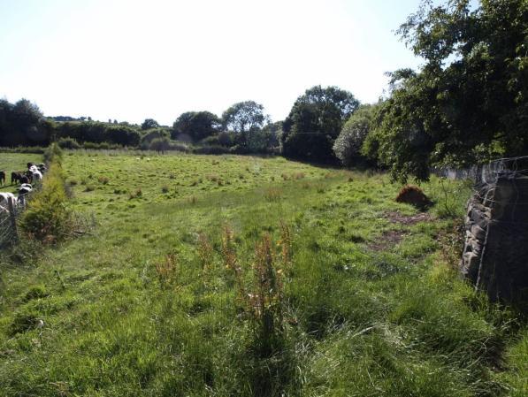 FIELD AND ADJACENT GREEN BELT Included within the sale is a fenced field of approximately threequarters of an acre and beyond the obvious garden boundary to the property is an L-shaped area of green