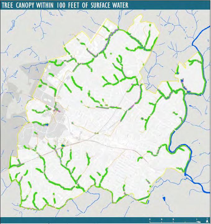 Stream Buffers 71.7% tree canopy coverage in protected stream buffers (by code) All stream buffers have 71.4% coverage Ownership (all buffers) City owned: 24.