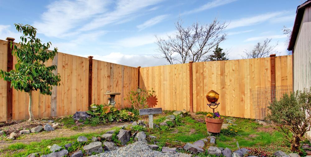 WHY BUY A FENCE? From functional boundaries to decorative plant trellis - fencing can transform your garden.