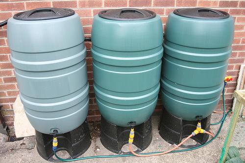 collect rainwater from the gutters Once it is full, the water flows down the
