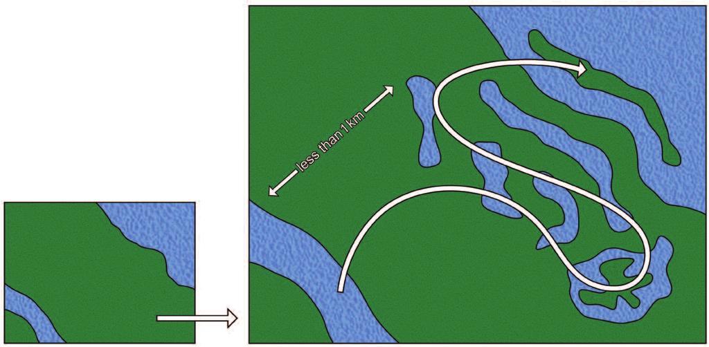 Island created in lake margins using subsoil spoil from new pond creation Water course with existing water vole population Lake Water vole population colonises the new habitats Pond complex creation