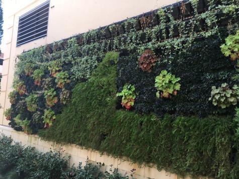 with living walls.
