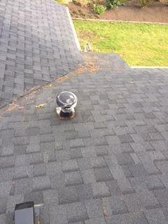 1. Roof Condition Roof Composition shingle roof