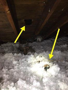 5. Electrical Recessed lighting in contact with insulation and no visible IC contact
