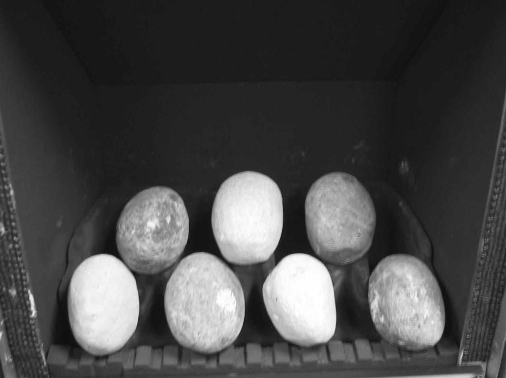 6.10.4 Select three of the large pebbles and position on the three