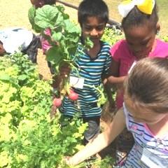 3 School Gardens 4 Become an Affiliate 5 Wings & Beaks 6 YORK SOIL & WATER CONSERVATION DISTRICT NEWS Http ;//yorkconservationdistrict.