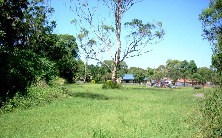 At the behest of a local resident Landcare became involved with the restoration of this site.