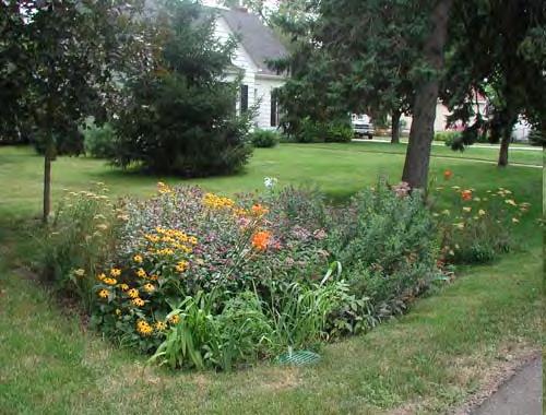 Rain Gardens Can be built almost anywhere to help infiltrate runoff from gutters, driveways or streets and