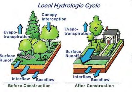 Development and Stormwater Impervious Cover in excess of 10% impacts stream corridor Increased potential for erosion Decreased r