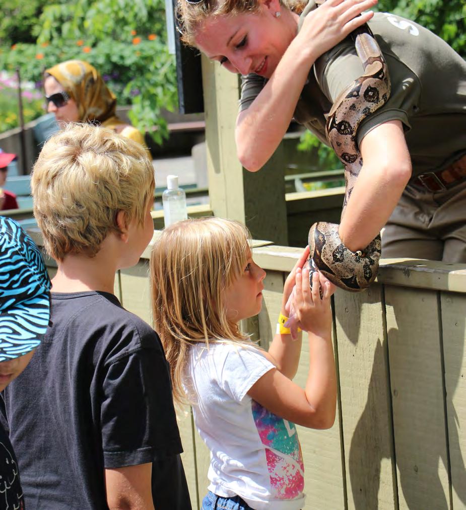 DISCOVERY ZONE AND SPECIAL ANIMAL AMBASSADORS The existing Discovery Zone will be expanded to include more year-round, nature-based programs and activities to meet the needs of local parents and