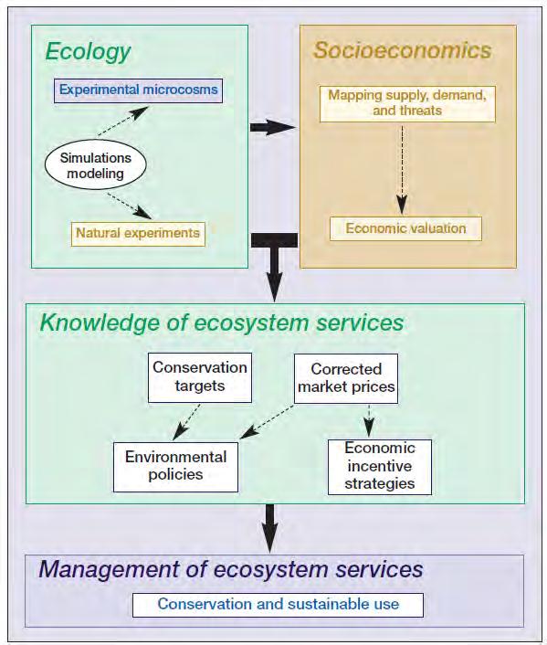 Watershed Sustainable Landscape Ecosystem Services and Land Use Conceptual framework illustrating how greater ecological knowledge, in combination with socioeconomic knowledge, is needed to manage