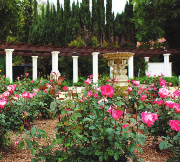 THE FOOTHILL ALPINE ROSE GARDEN Foothill Road to Alpine Drive. The specialty rose garden is one of the park s most popular attractions.