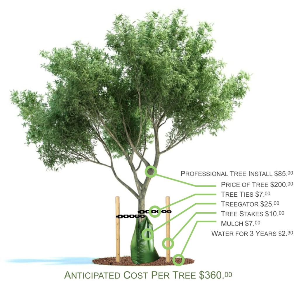 Attachment #3: Urban Forestry Landscaping Code Update 04 04 12 THE COST OF PROPOSED TITLE 13 LANDSCAPING CHANGES This document analyzes the difference in two of the most considerable proposed changes