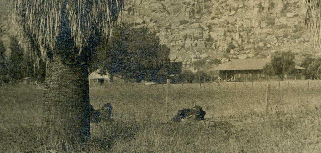 Zooming in on a scan of the 1913 postcard shows detail of the cottage and