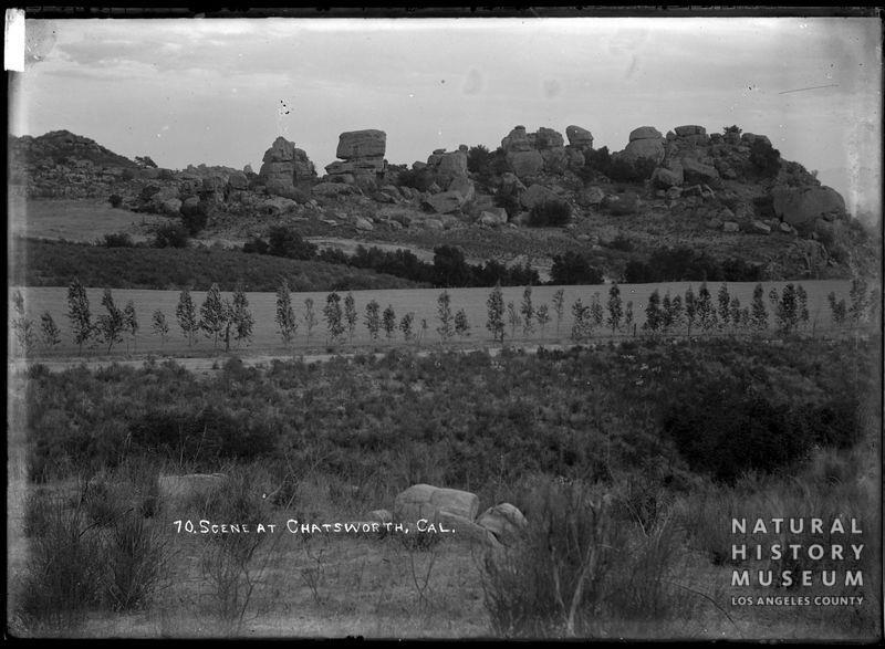 Photo 70, looking east. The Garden of the Gods is framed past the Williams/Johnson road and eucalyptus trees in this photo.