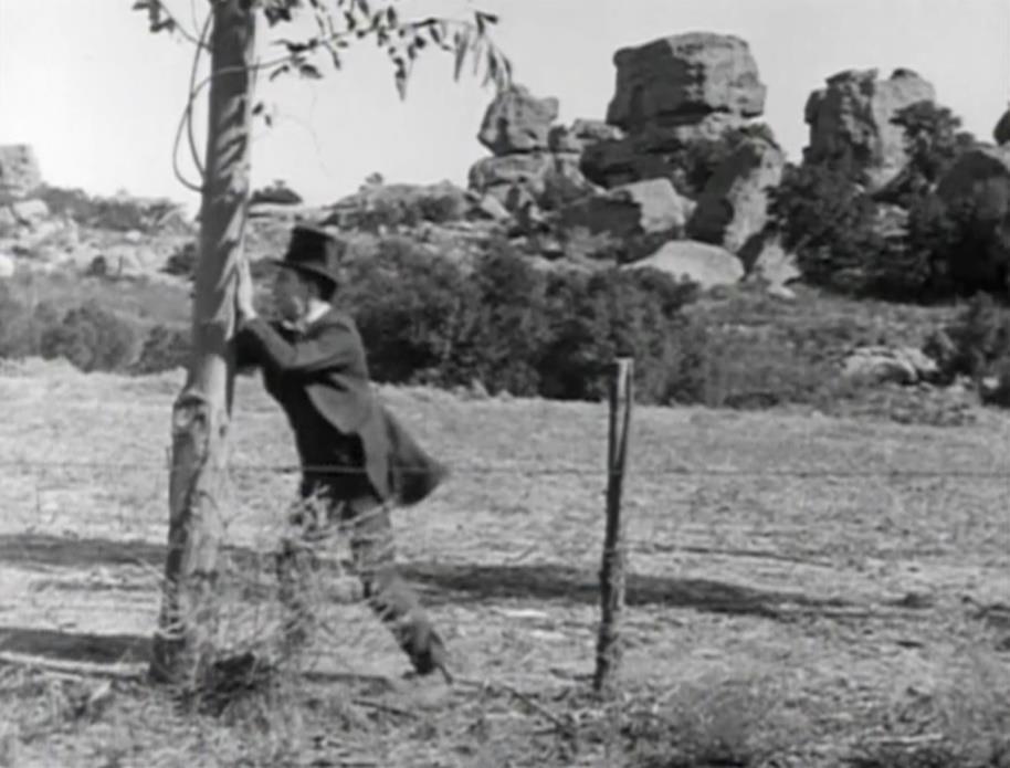 1922 The Paleface Parachute Rock 1922 The Paleface Buster Keaton at a eucalyptus tree at