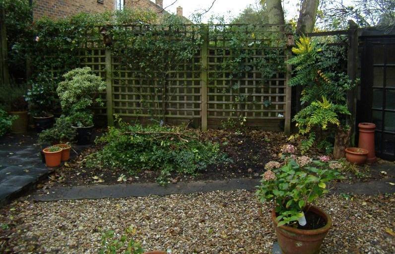 All trellis with climbers and wall shrubs got pruned,