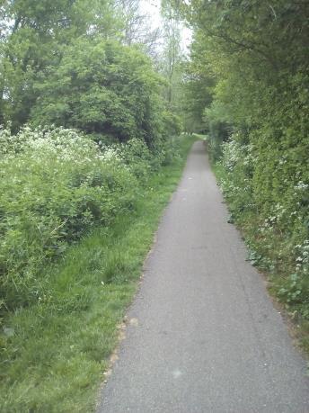 agreement. (Path is currently 2m but overgrown). Forms part of Swaffhams Greenway.