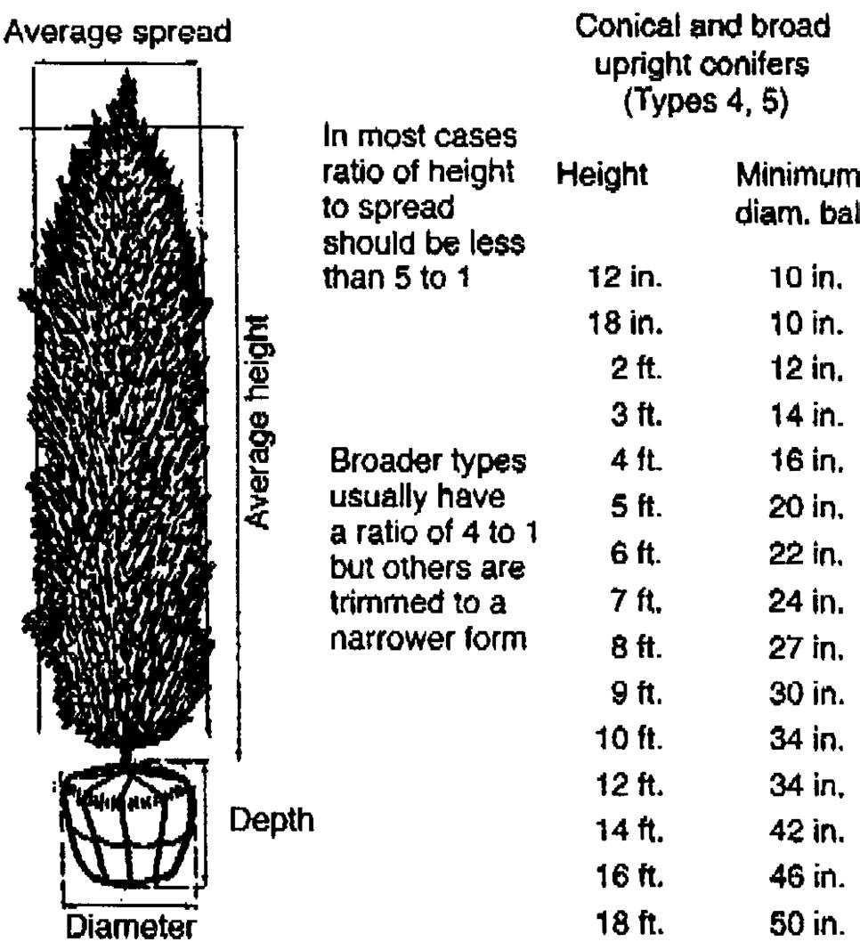 Determine the size of the plant to be moved. B. Use caliper inch as per AmericanHort (formerly ANLA) standards to measure all trees. C.