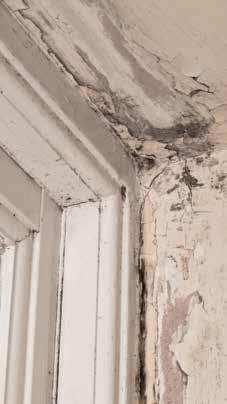 What is mould? Mould is fungus; a simple plant that will grow wherever there is moisture. It appears as black pin pricks on walls, ceilings and furnishings and usually has a musty smell.