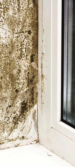 Condensation and mould All of us generate moisture vapour in our homes through our normal daily activities such as cooking and bathing. Condensation of water vapour occurs on colder surfaces.