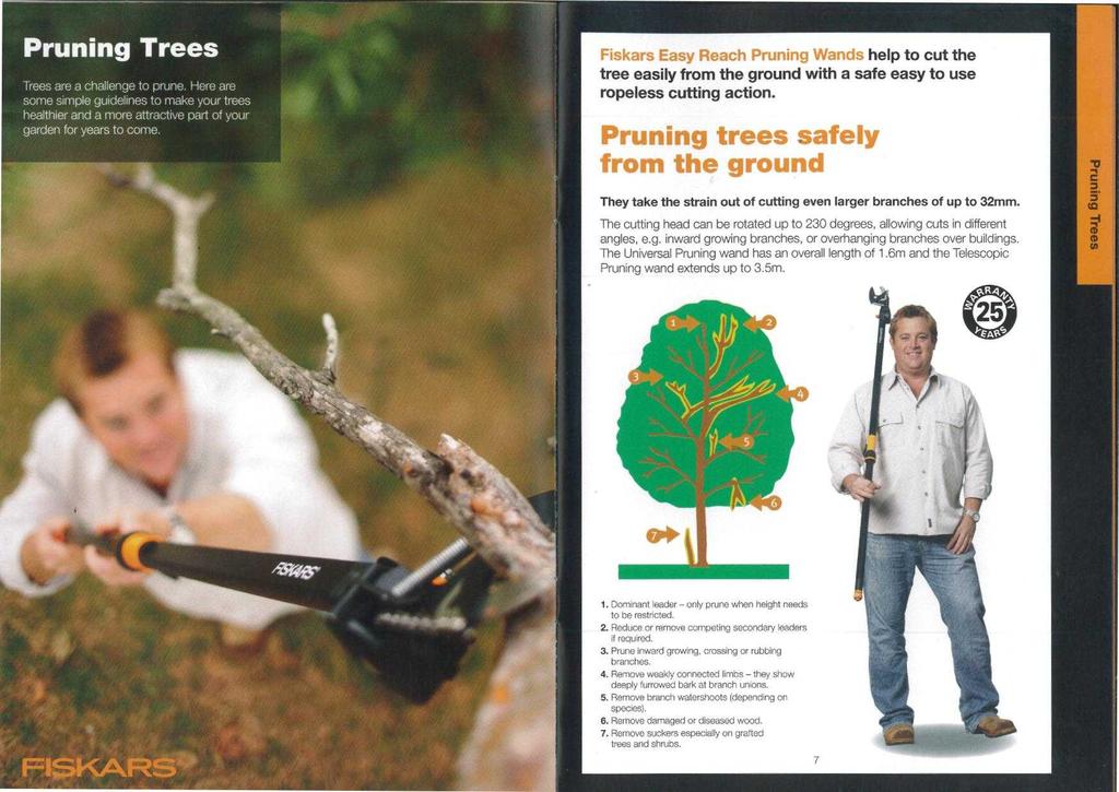 Pruning Trees Trees are a challenge to prune. Here are some simple guidelines to make your trees healthier and a more attractive part of your garden for years to come.