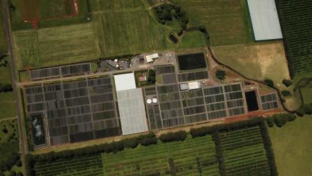 markets 44 acres growing capacity