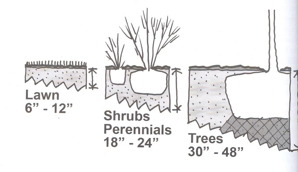 PLANTING IN SHRUB BEDS Below: Recommended soil installation depth for various plants. Soil should be as deep as practical. Thinner soil and sandier soil will dry out faster.