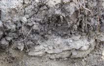 Soil Interfaces Topsoil over smooth compacted layers