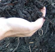 The resulting soil is tested by dry weight loss-on-ignition.
