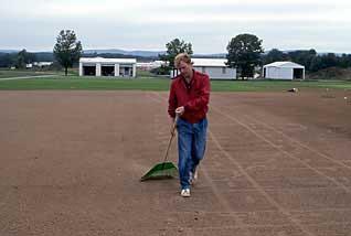 Timing of Seeding Seeding of cool-season turfgrass species can be done from mid spring to early fall, but late summer is the optimum time to seed in most areas of Pennsylvania.