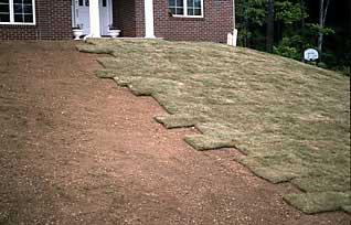 Mats or covers may be used in high value establishments when soil temperatures are cold or on steep banks.