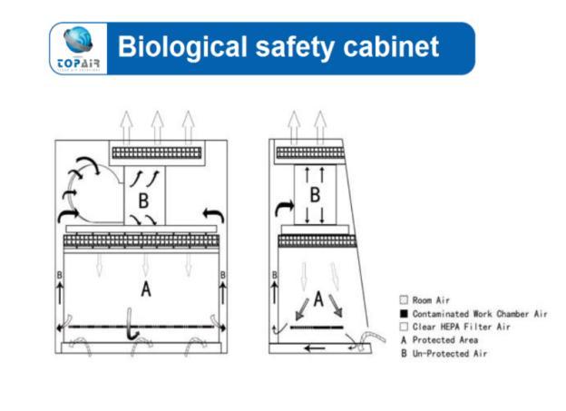 BIOLOGICAL SAFETY CABINETS Technical Specifications Model No.