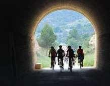 to embark on new initiatives in other European countries that do not yet have a greenways