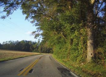 Route 17 in Chesapeake s Rural Overlay District affords distant views of agricultural land and tree lines. Ballahack Road is one of the country roads in the Rural Overlay District.