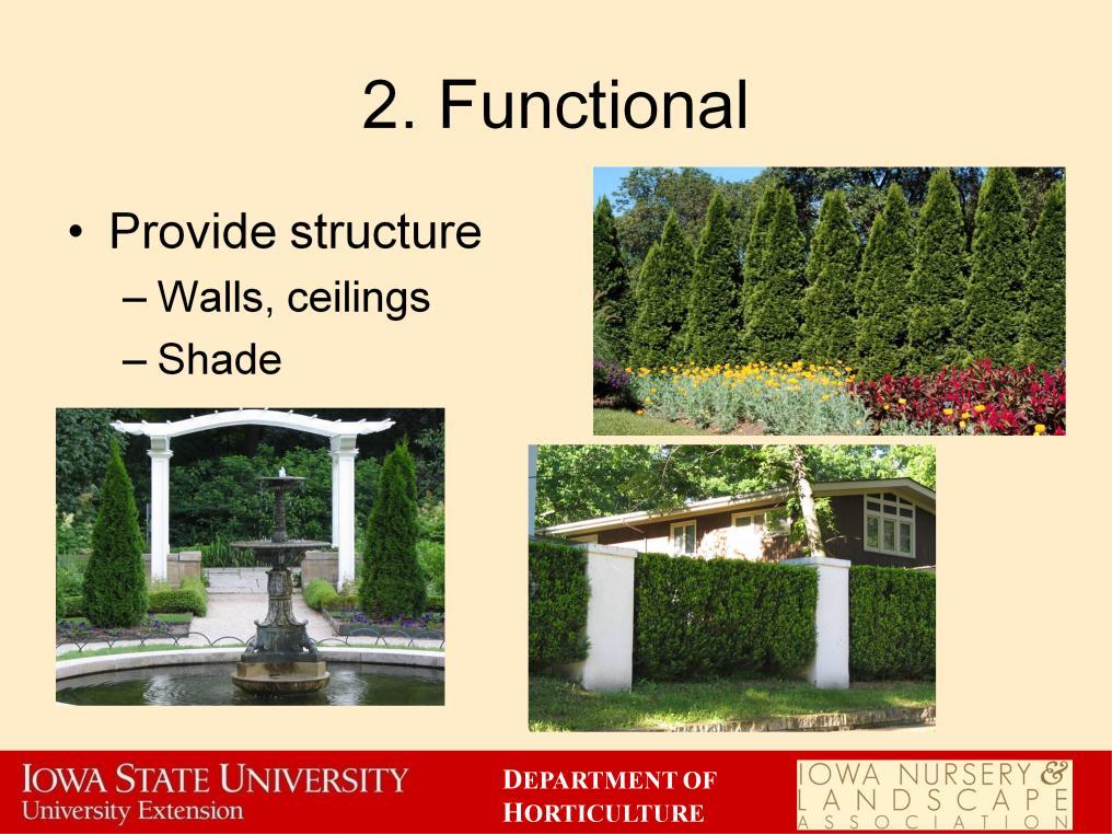 Plants often play important functional roles in a landscape. Plants can provide structure for the landscape by acting like the skeleton.