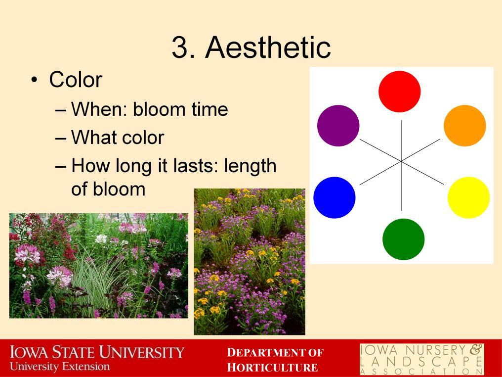 Color is the most obvious aesthetic feature of a plant. Bright red and yellow flowers will catch any wandering eye.