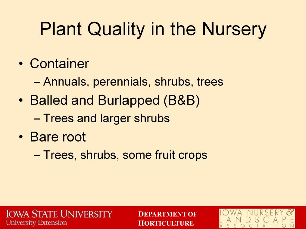 Once you know what plants will grow in your area and which ones you want to plant, you need to know how to select a high quality plant from the nursery or garden center.
