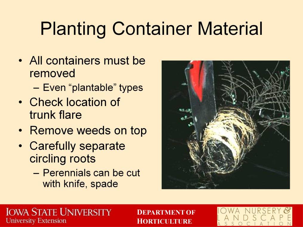 When planting container material it is critical to remove any and all containers, even those that are plantable.
