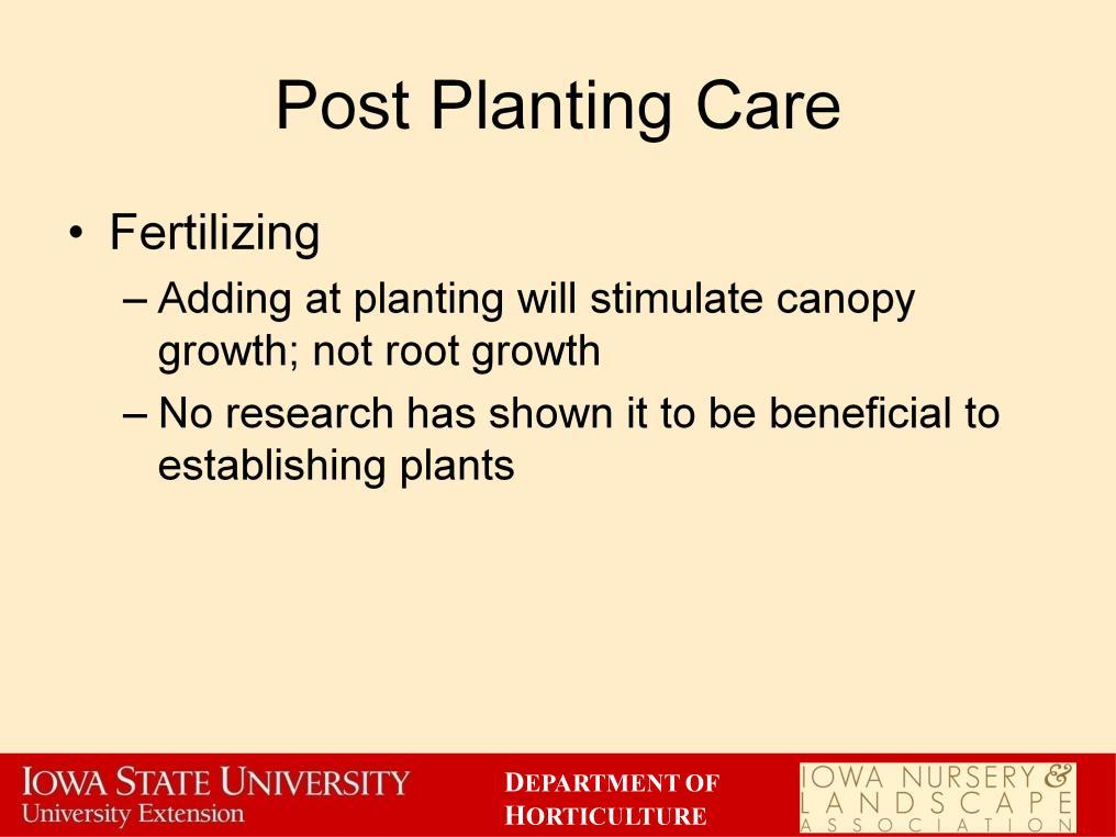A brief note on fertilizing. Adding fertilizer at the time of planting, by incorporating it into the backfill, will stimulate canopy growth.