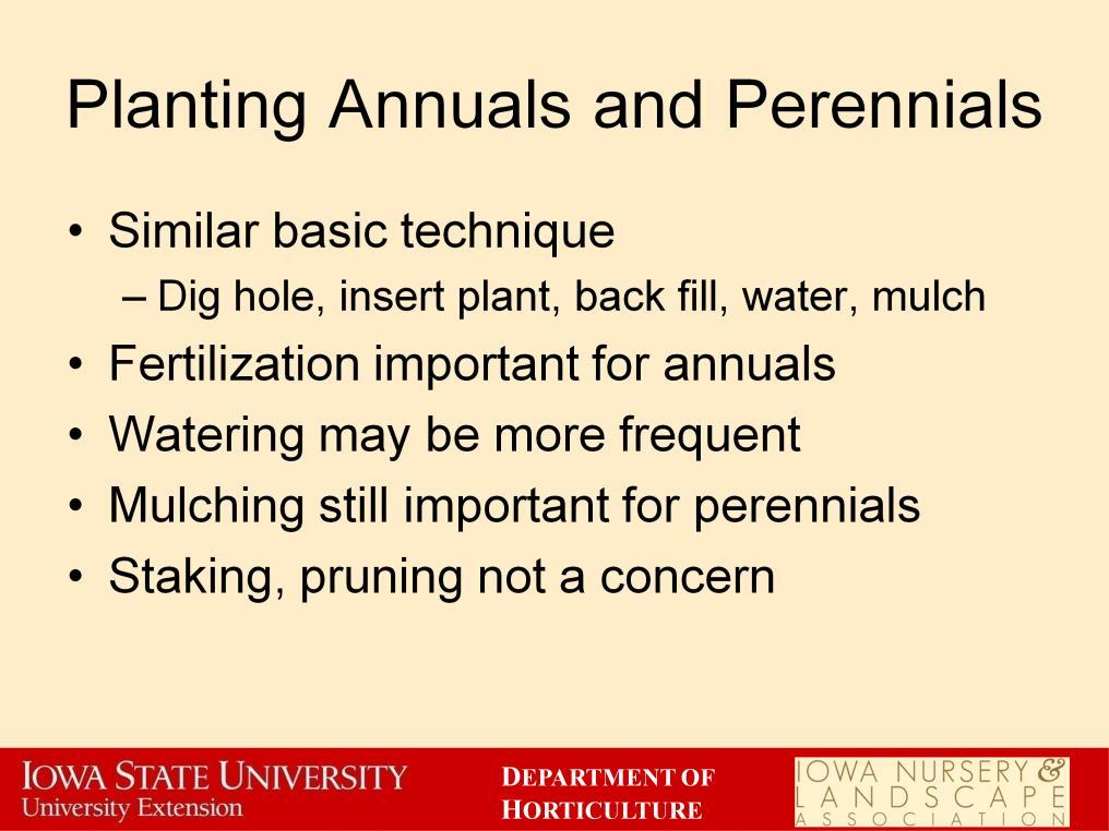 The basic techniques for planting annuals and perennials are similar to the techniques we have already discussed. Annuals and perennials are smaller and don t require so large a planting hole.