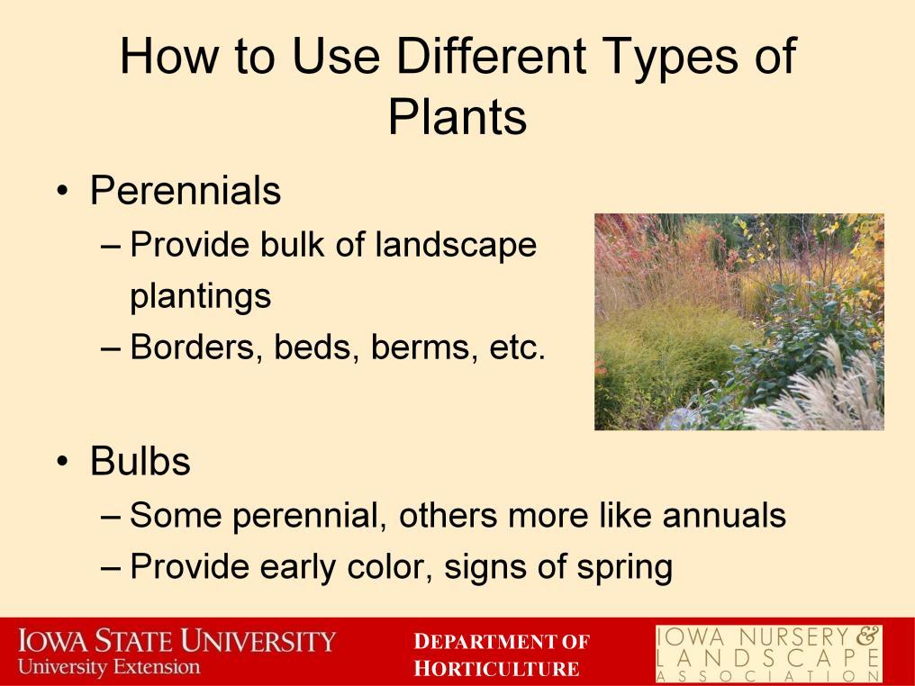 Perennials are the bulk filler in most landscapes. They can provide continuous floral and foliar features. They are predictable and reliable.